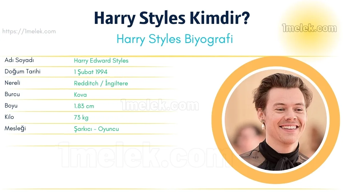 Harry Styles Boyu, Kilosu, Yaşı, Biyografisi