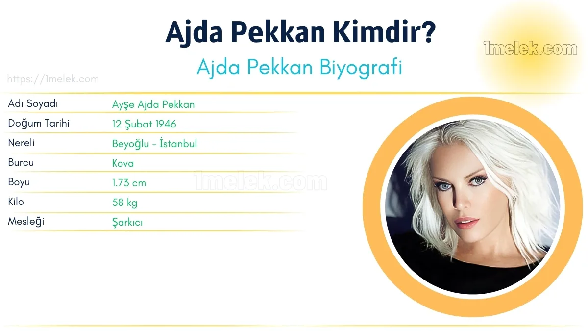 Ajda Pekkan Boyu, Kilosu, Yaşı, Biyografisi
