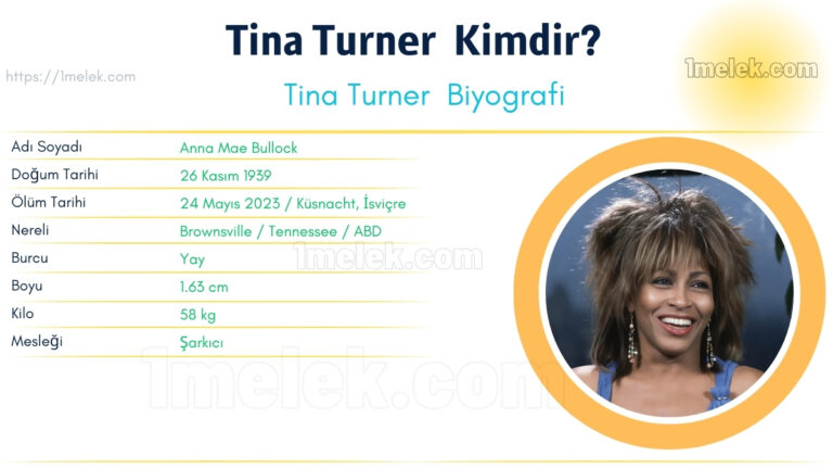 tina turner kac kilo boyu kac nereli kac yasinda esi kimdir