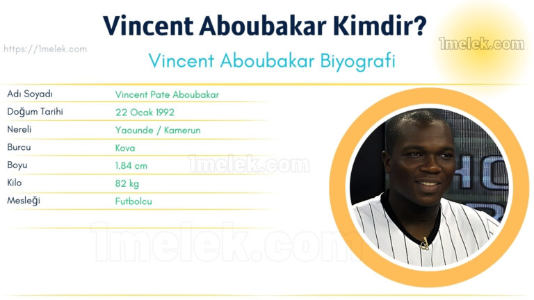 vincent aboubakar kac kilo boyu kac nereli kac yasinda esi kimdir